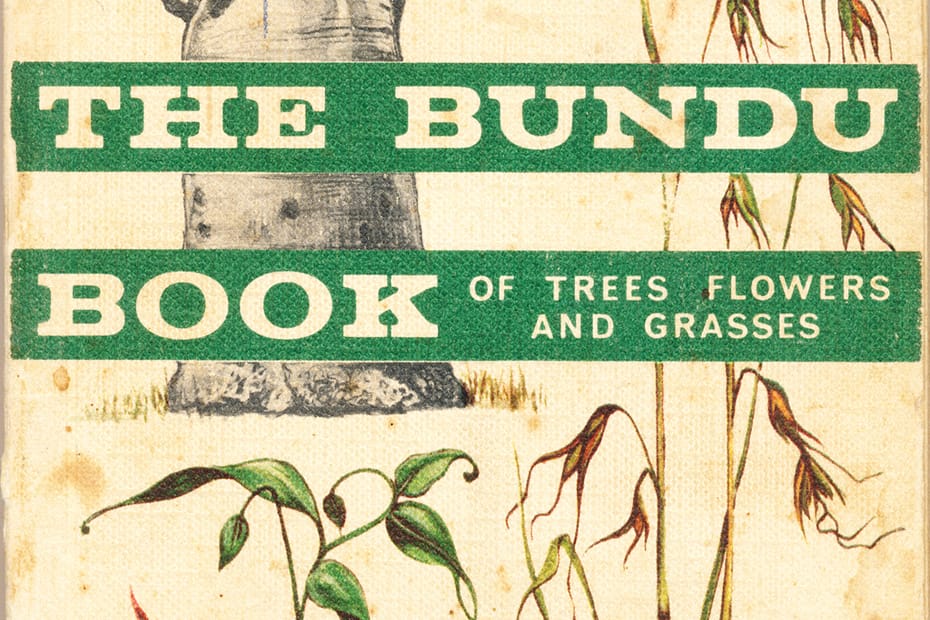 Botany abantu archives